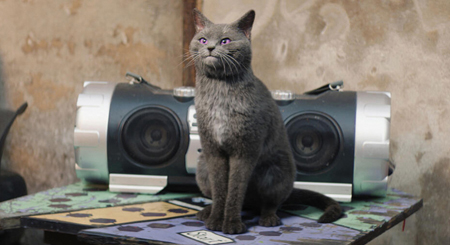 Bild zum Film Die Schule der magischen Tiere 3